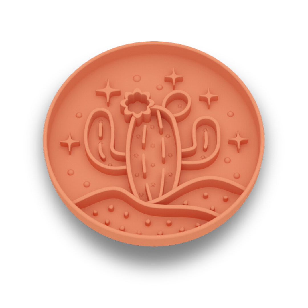 Cactus Makes Perfect Bowl