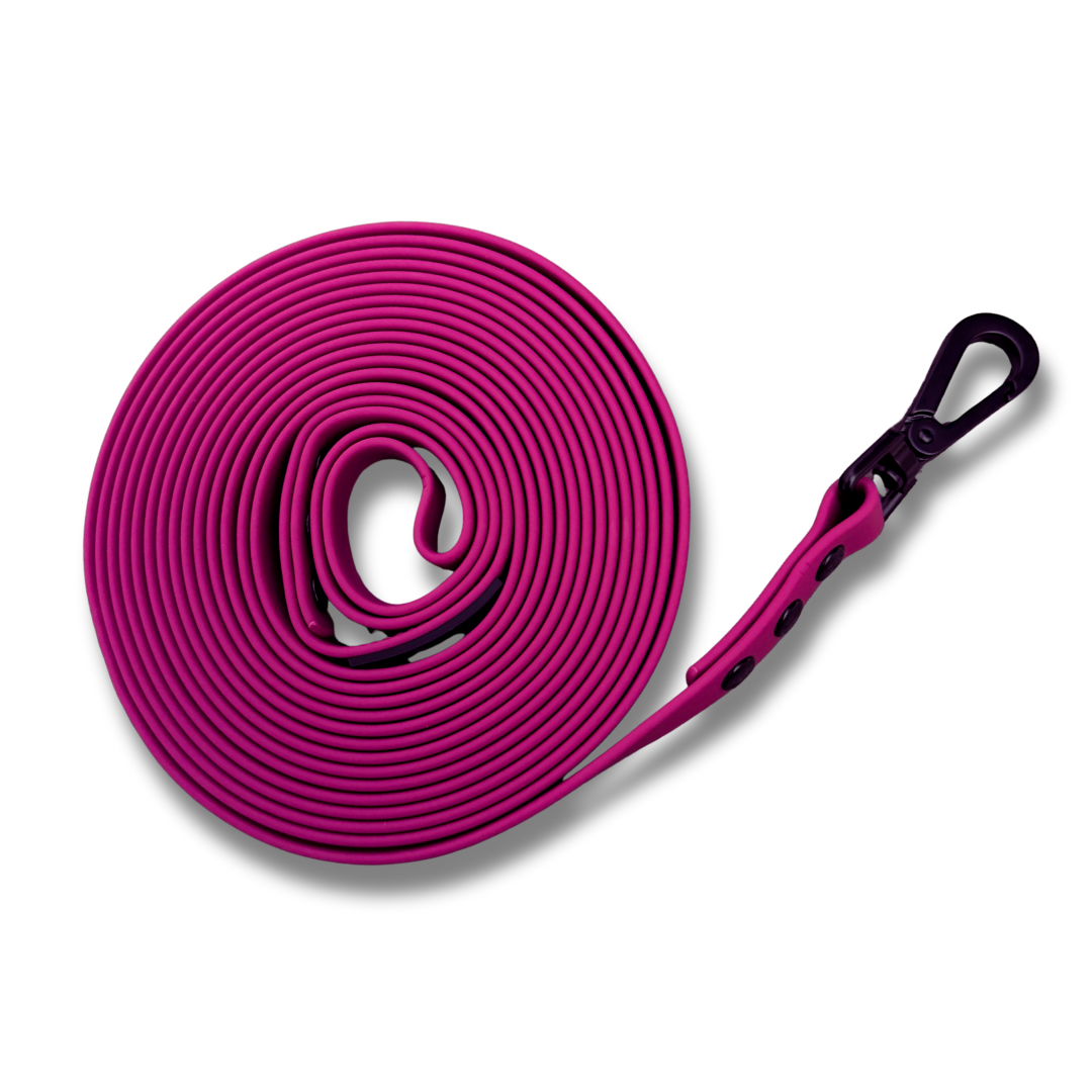 5M Training Lead