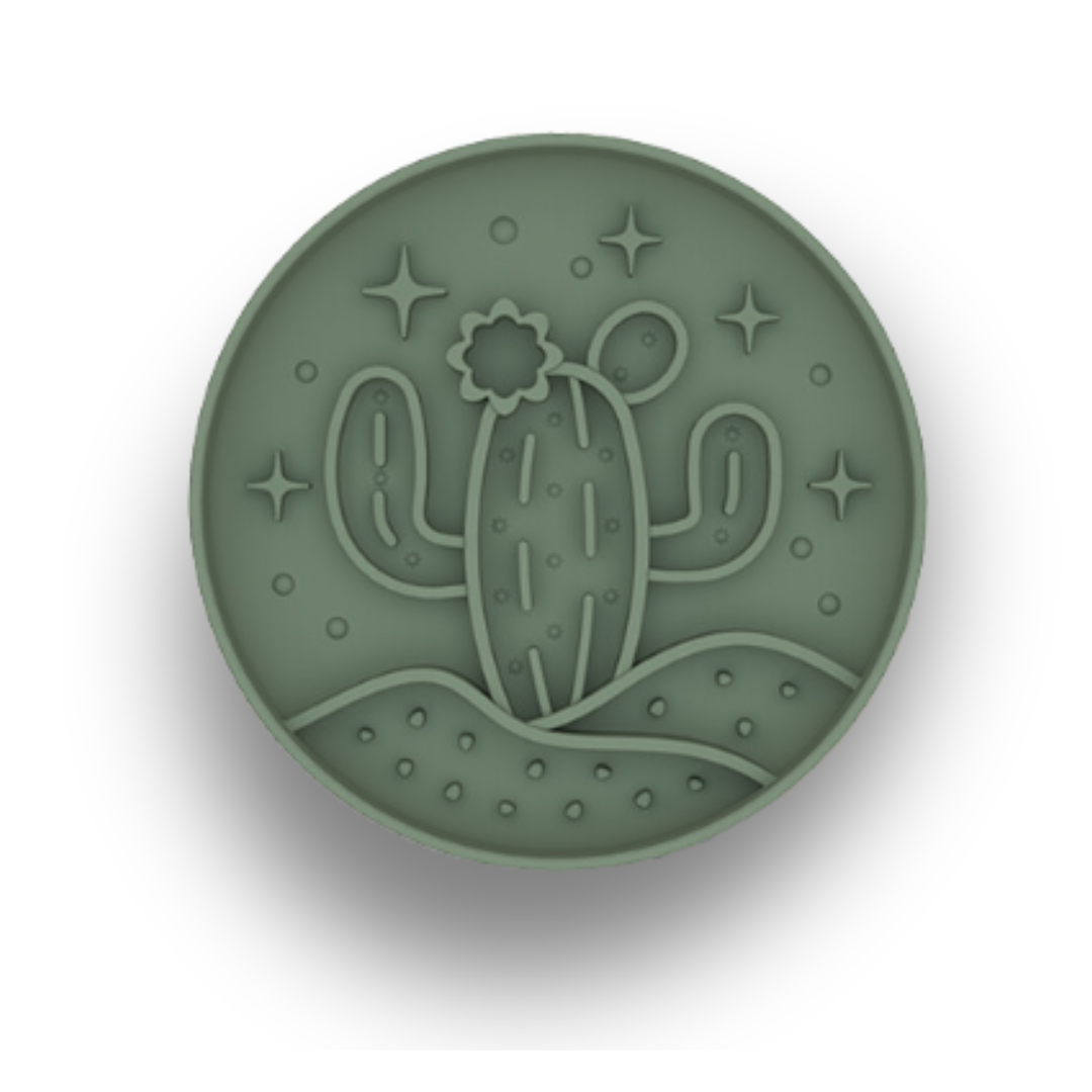 Cactus Makes Perfect Bowl