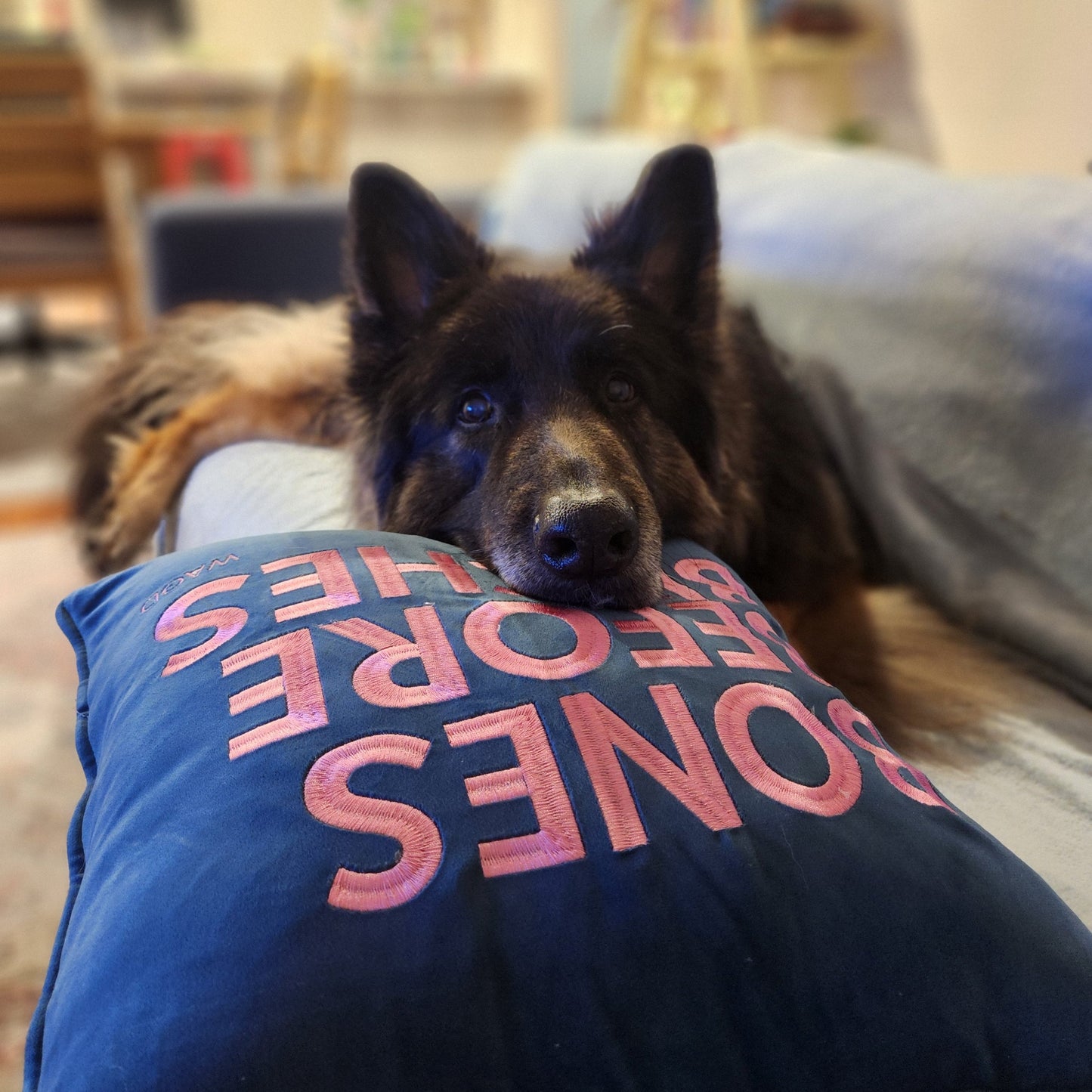 Dog Pillow Cover