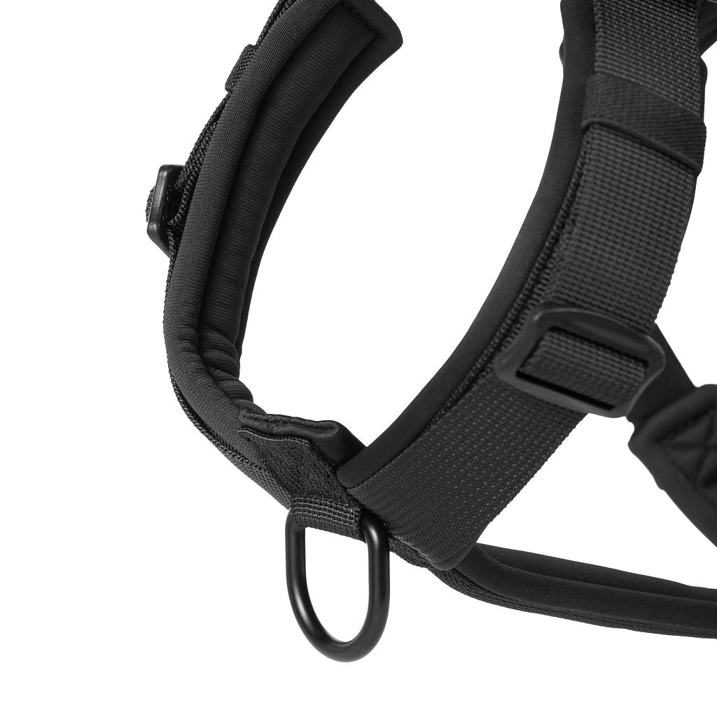 Close up of Black dog harness on a white background