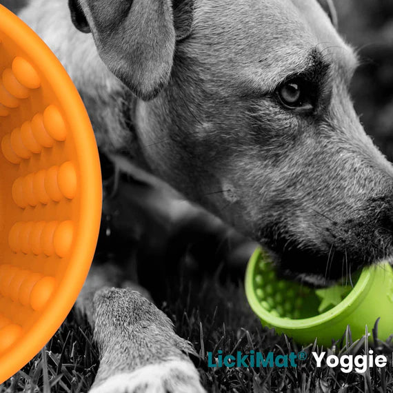 LickiMat® Yoggie Pot – Enrichment Feeder