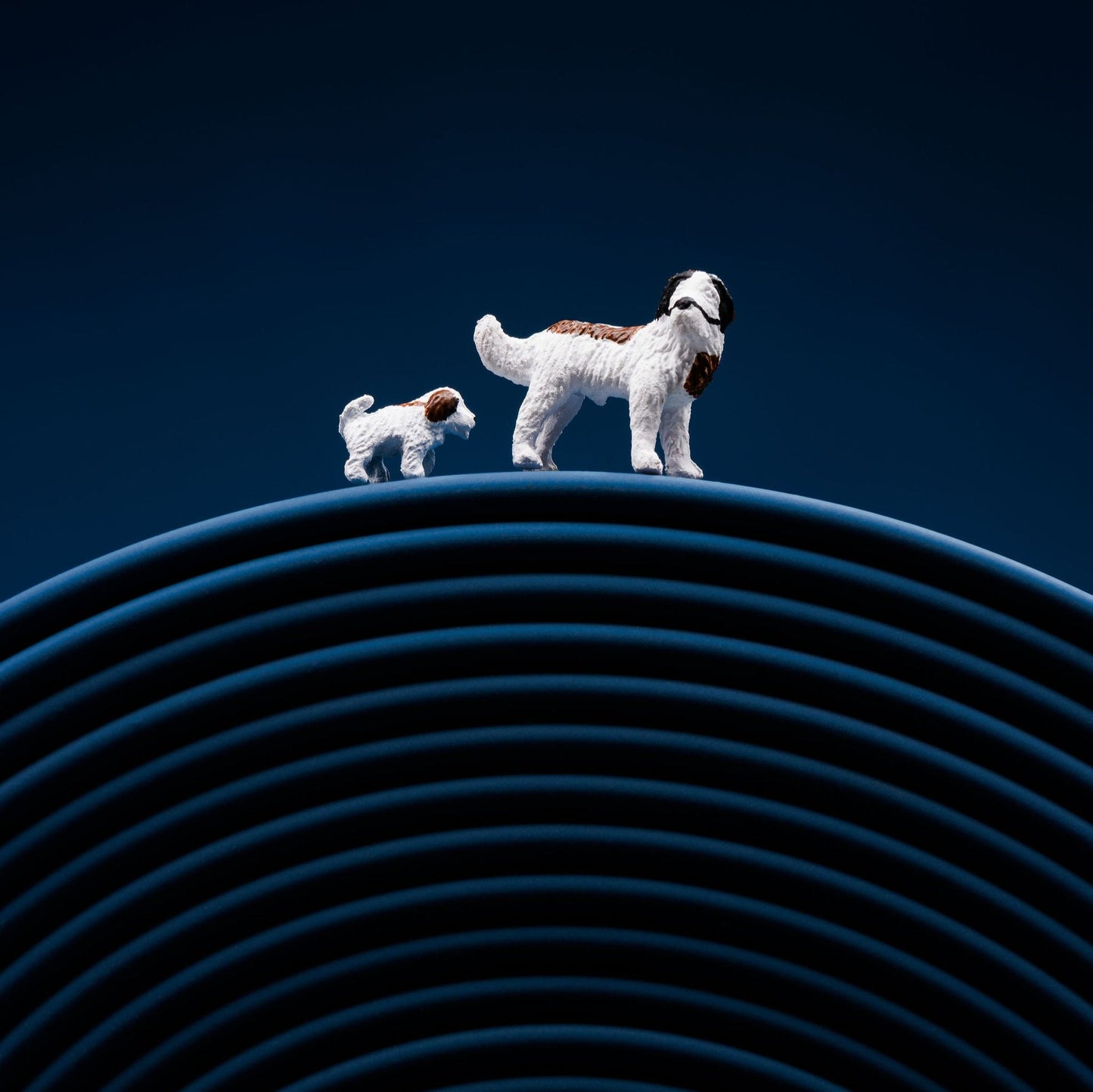 A navy 5m rubber coated lead rolled up and laid flat on a navy background. 2 small model white and brown dogs balanced in top.