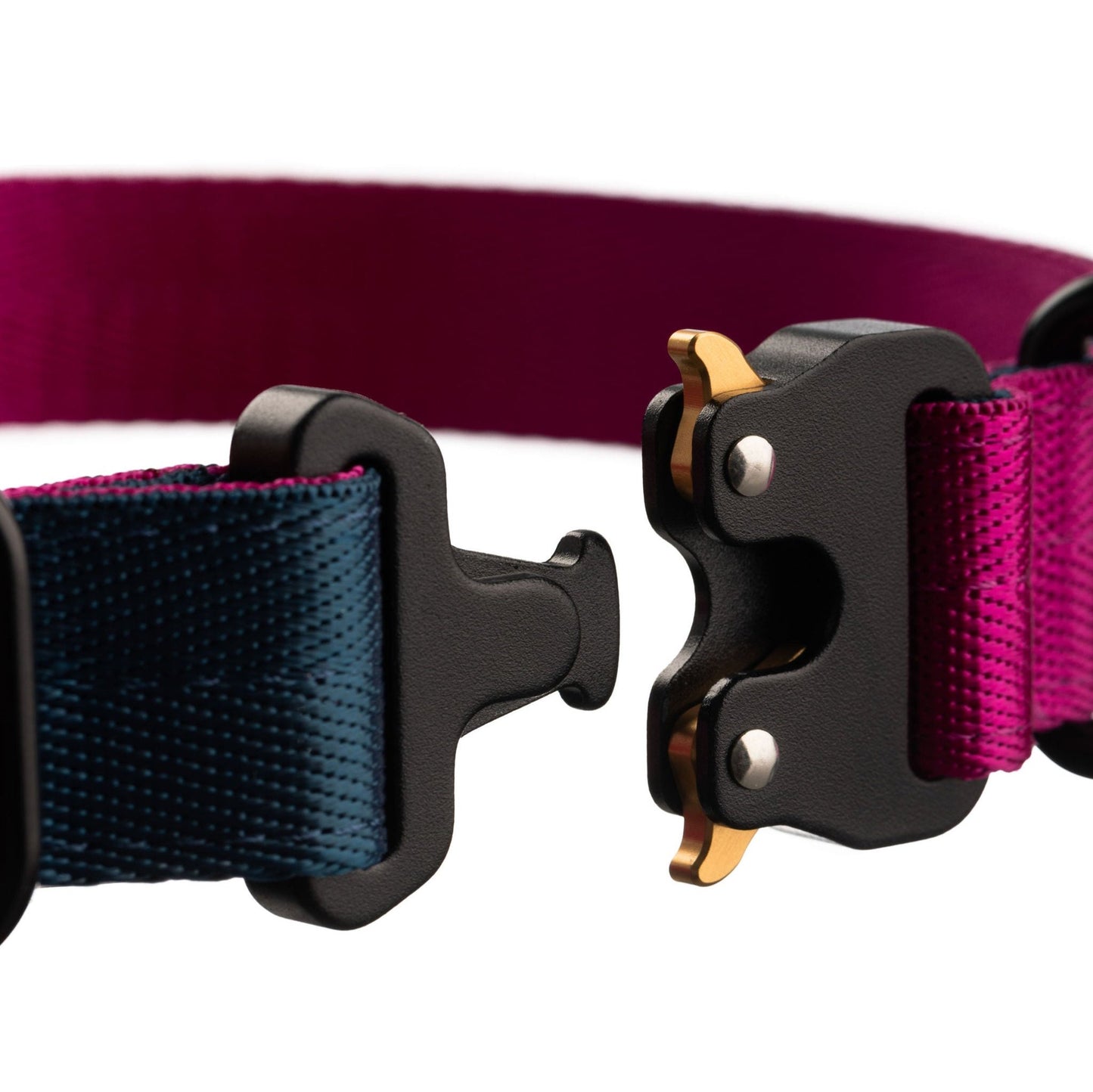 Close up of dog collar clip open. Black clip with gold tabs.