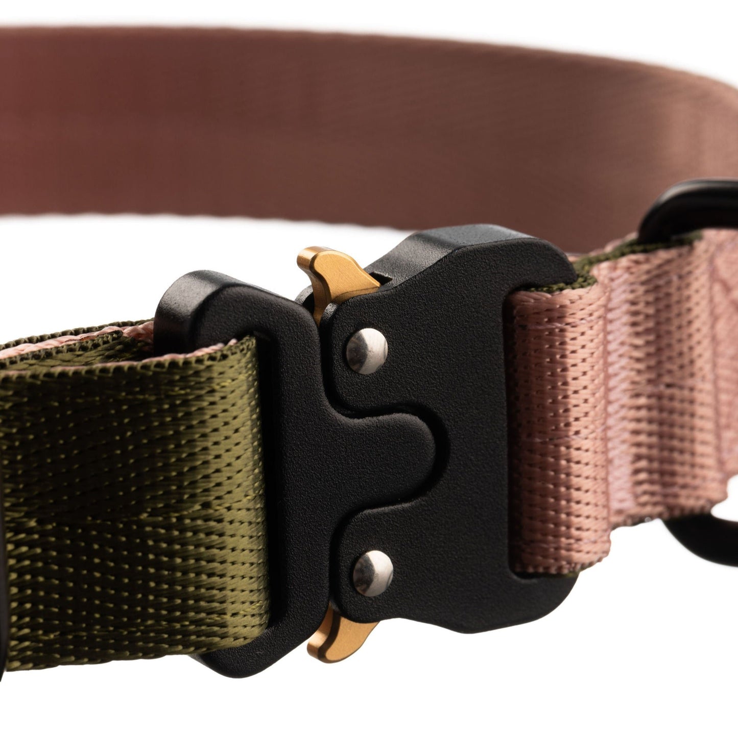 Close up of dog collar clip closed in black metal with gold tabs.