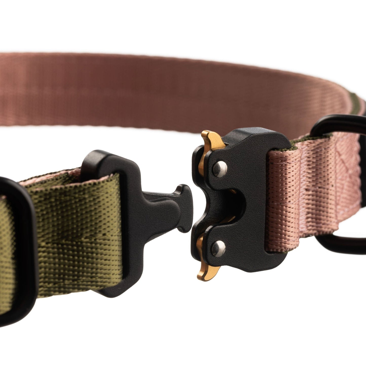 Close up of dog collar clip with clip open. Black clip with gold tabs.