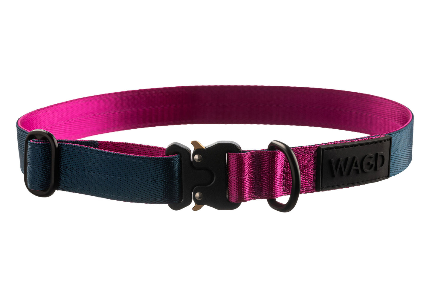 25mm Dog collar in peacock and pink with black clip and d-ring in black. With WAGD Black rubber logo.