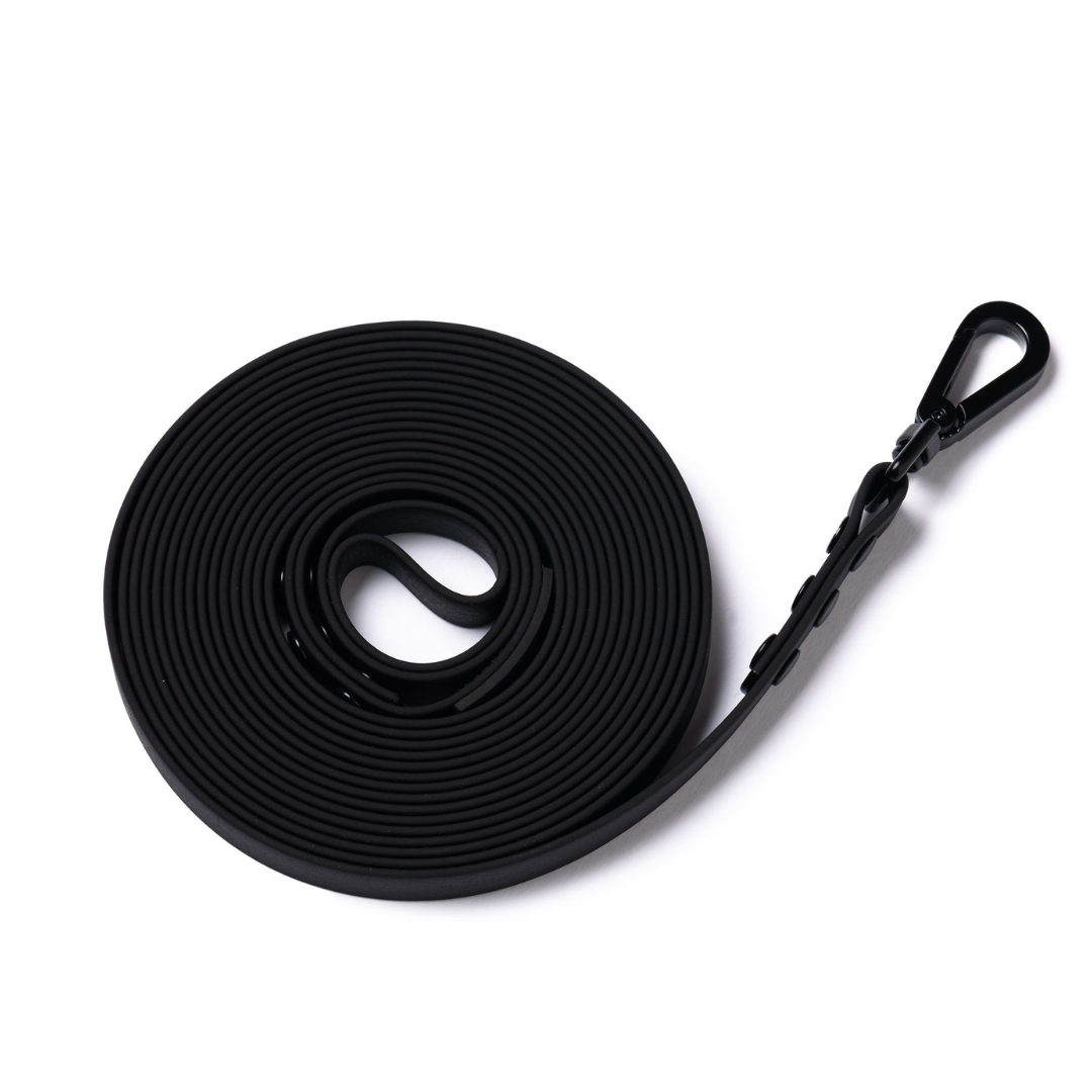 DOG TRAINING LEAD SNIFFARI