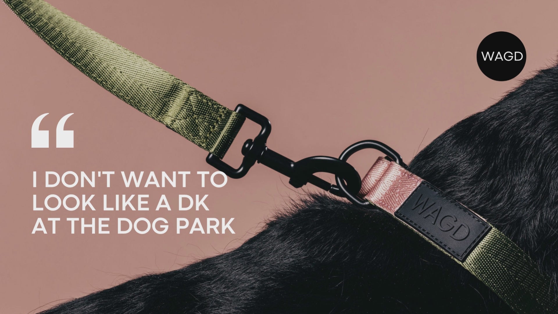Load video: Video with 10 changing images of dog necks with collars on. The text says I don&#39;t want to look like a dk at the dog park&quot;. Video ends with a black circle with white writing and text WAGD.