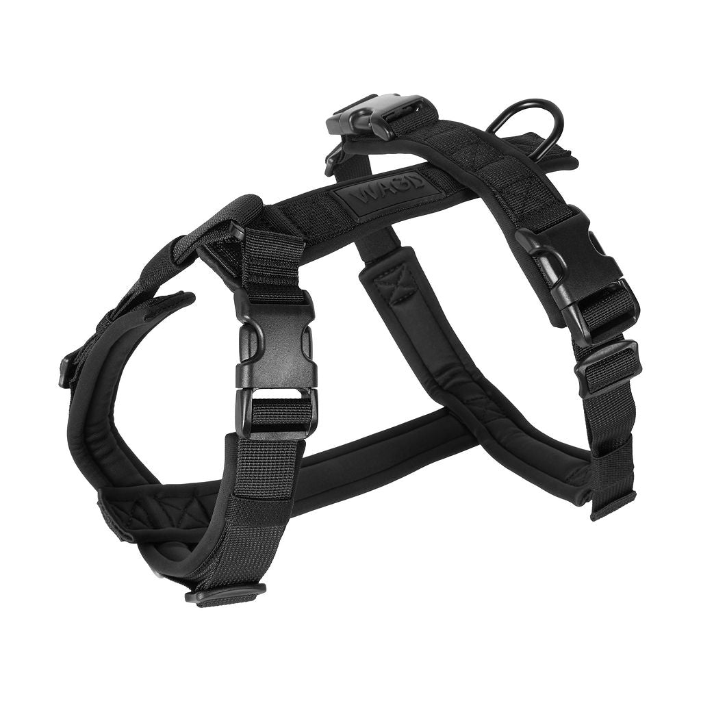 Black dog harness on a white background