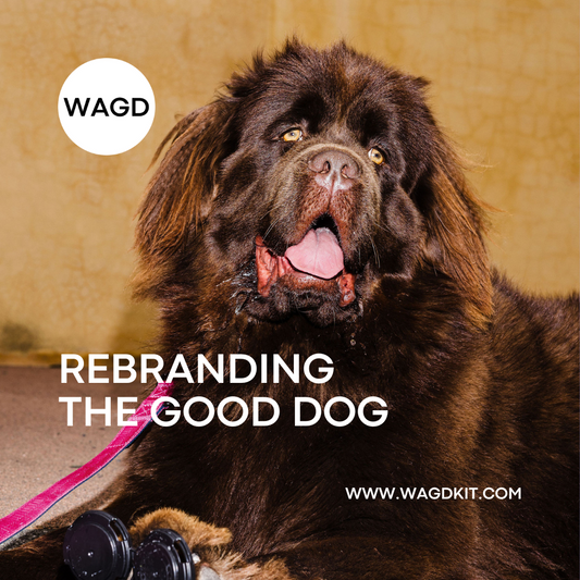 Why All Dogs Are Good Dogs: Rebranding the 'Good Dog' Label