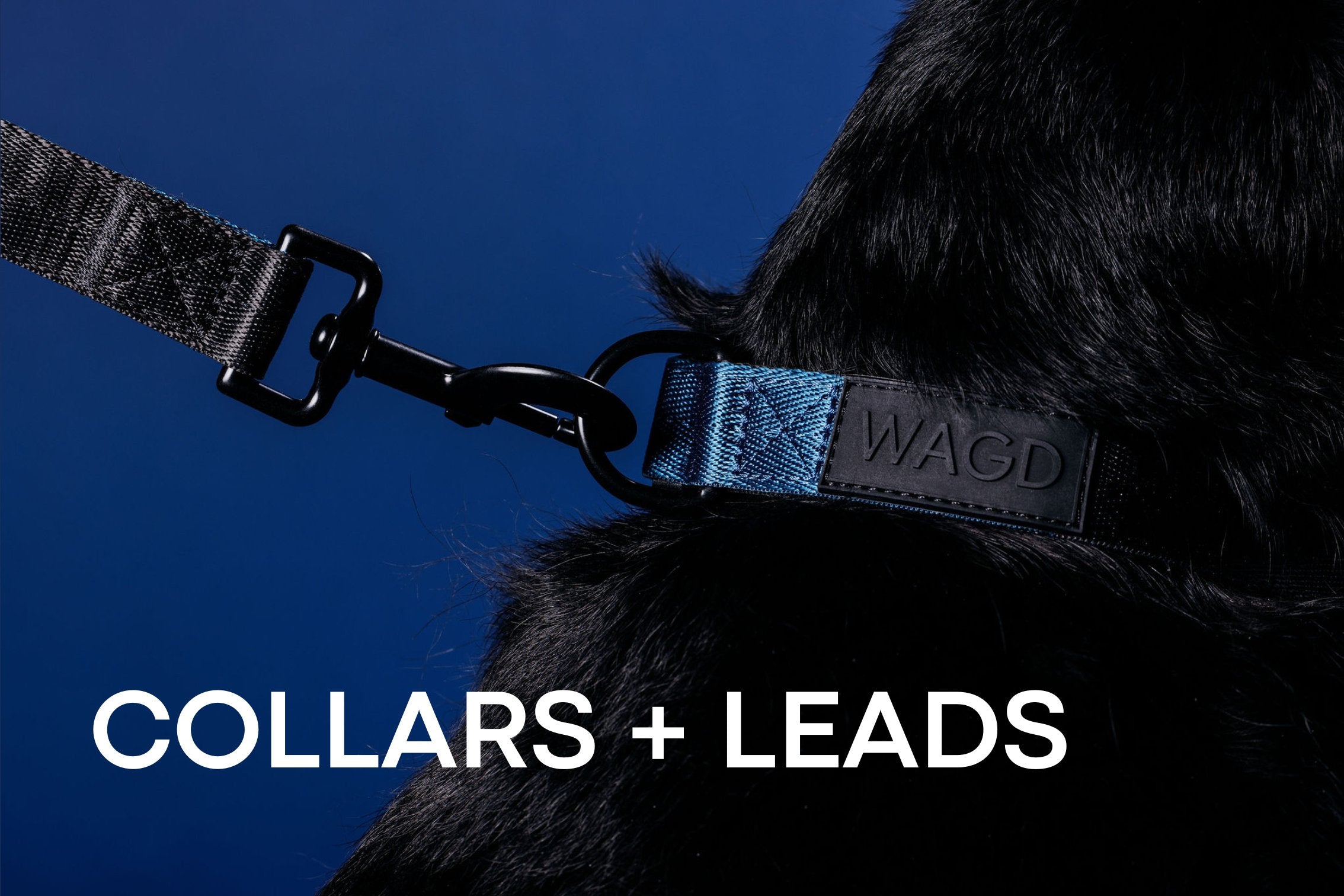 Wagd System GOOD SHT FOR DOGS – WAGD