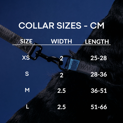 Dog Collar - Pink + Peacock