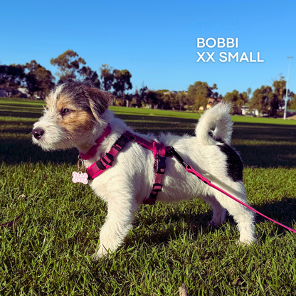 WAGD Dog Harness