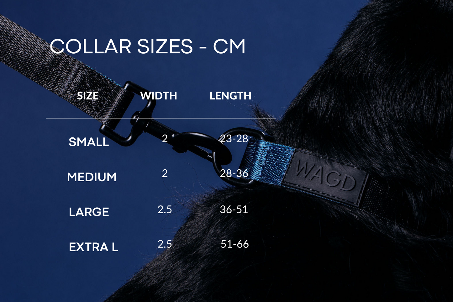 Collar sizing chart, small 25 to 28cm, medium 28 to 36cm, large 36 to 51cm and Extra L 51 to 66cm. Background shows a black dogs neck with a collar on.
