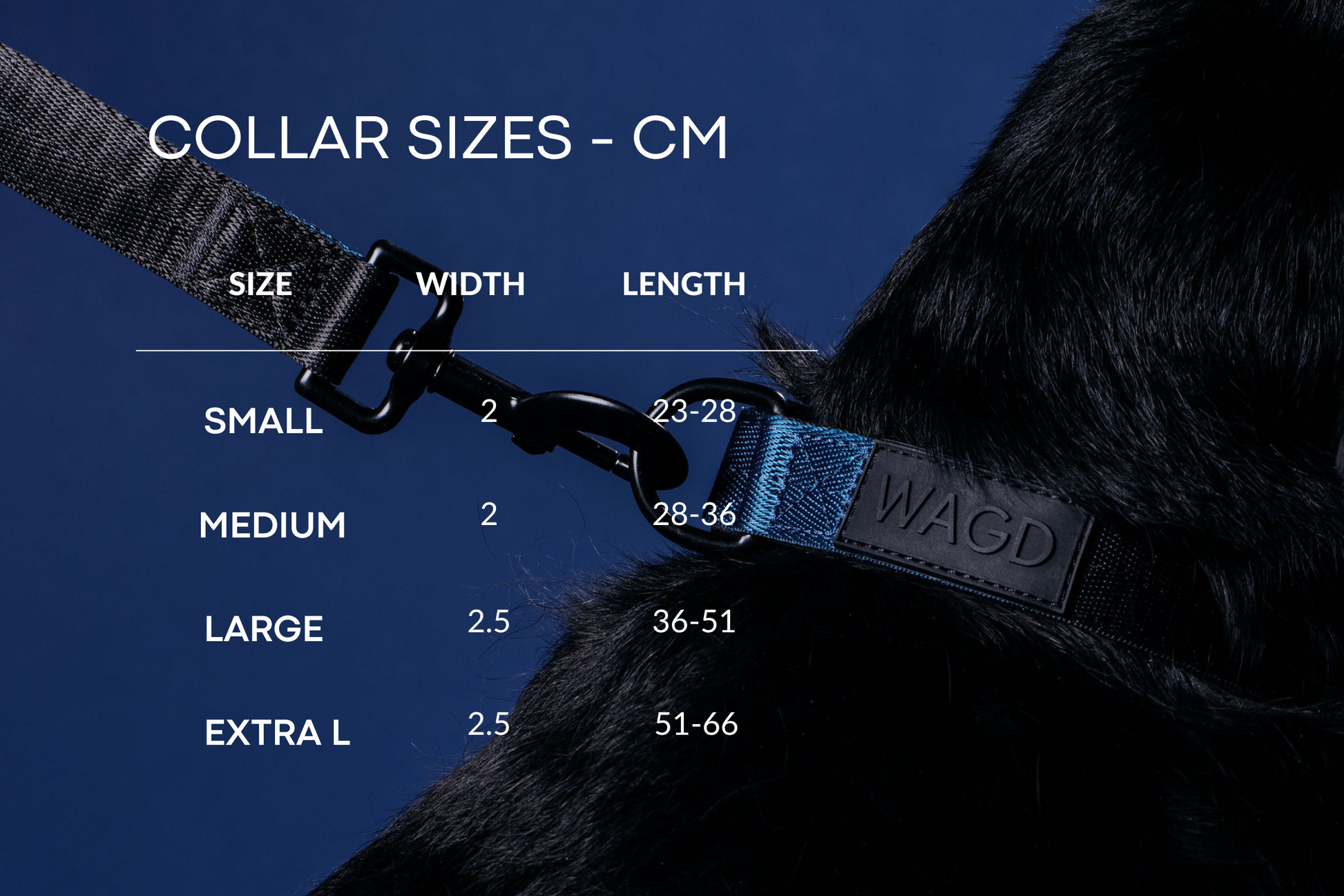 Collar sizing chart, small 25 to 28cm, medium 28 to 36cm, large 36 to 51cm and Extra L 51 to 66cm. Background shows a black dogs neck with a collar on.