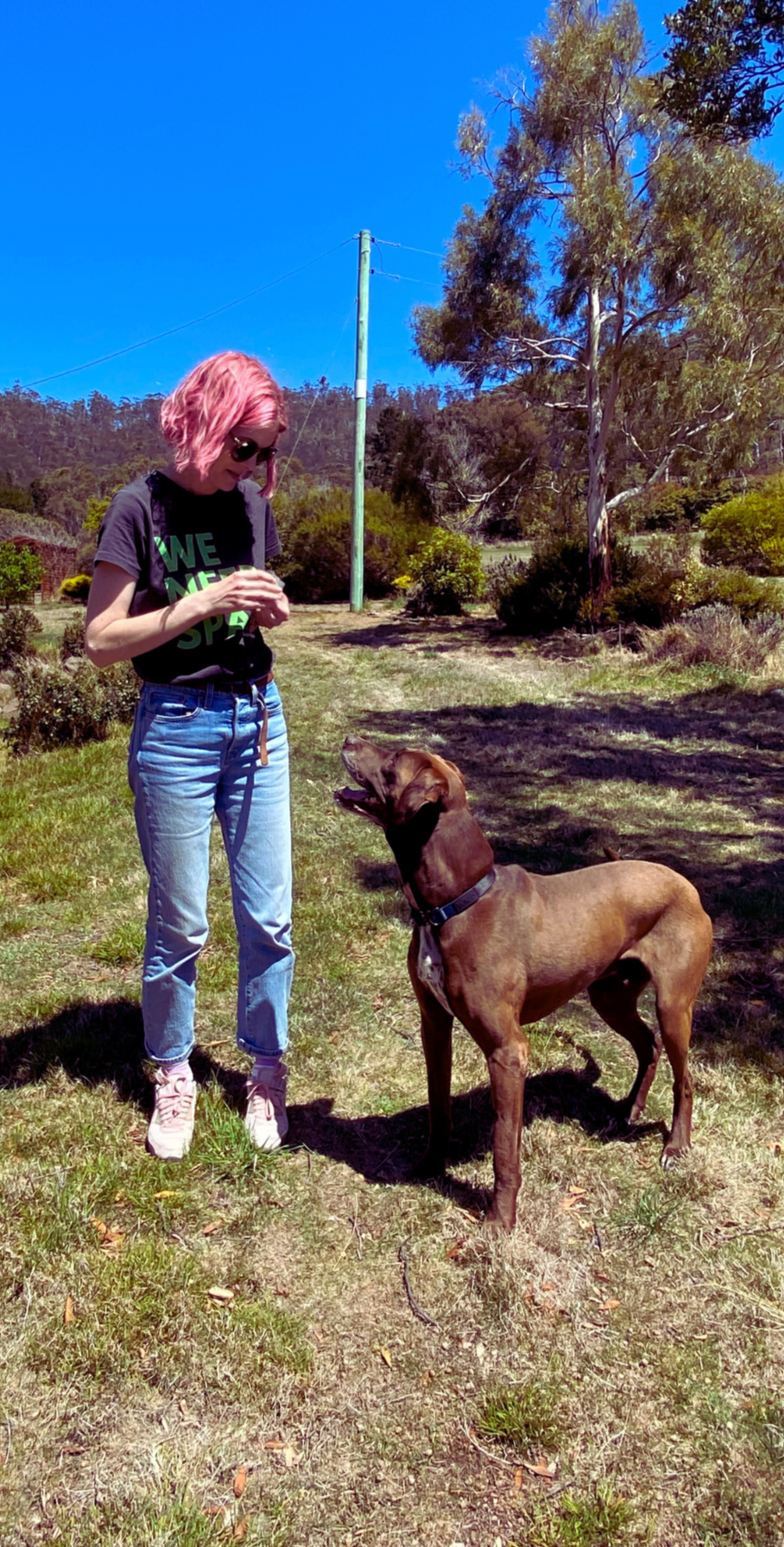Person with pink hair and a dog standing on grass with trees and clear sky in the background