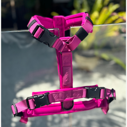 Cloud Comfort Harness