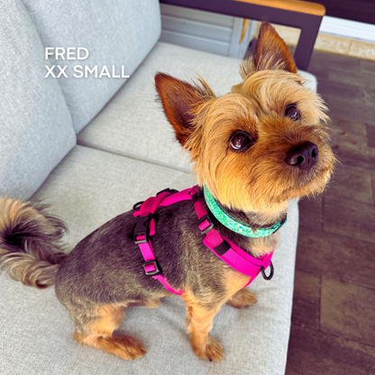 WAGD Dog Harness