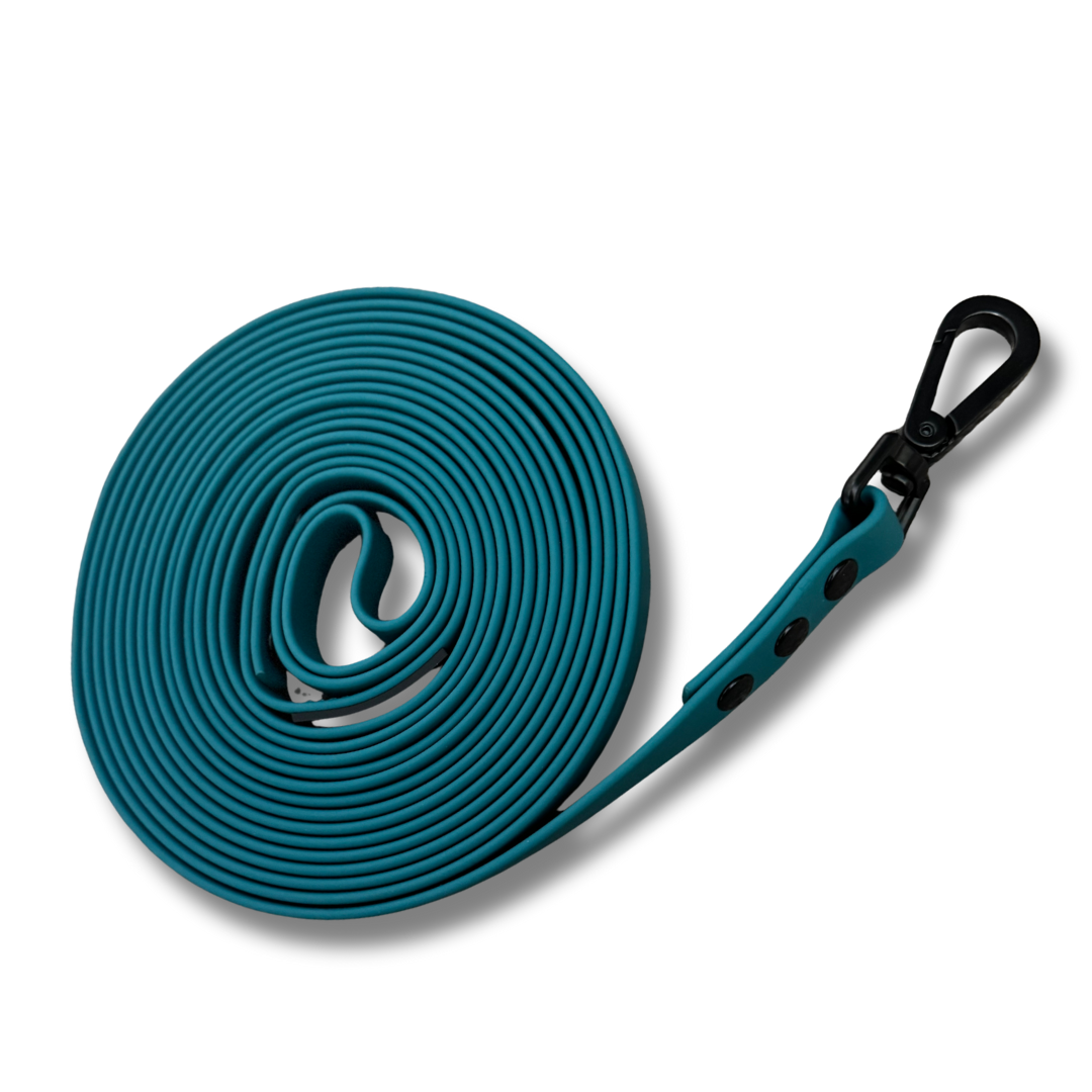 5M Training Lead