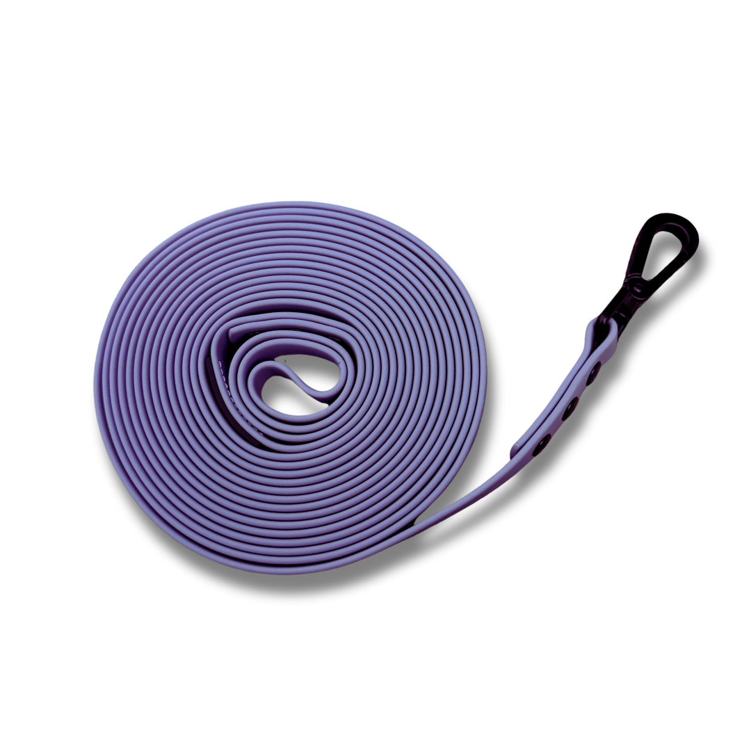 5M Training Lead
