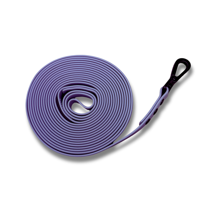 5M Training Lead