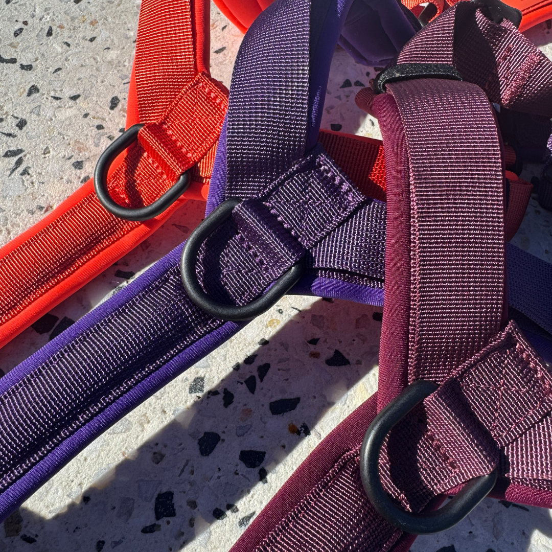 WAGD Dog Harness