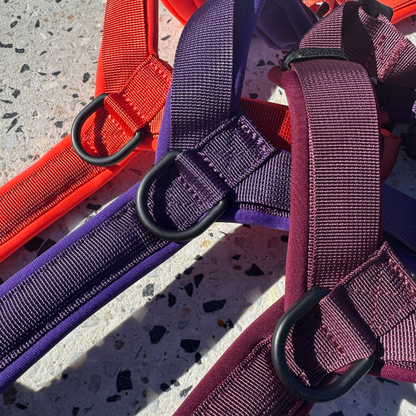 WAGD Dog Harness