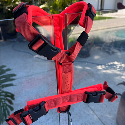WAGD Dog Harness