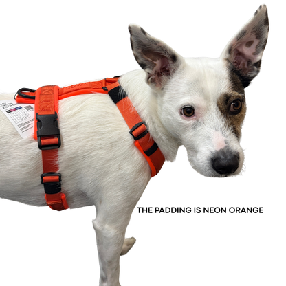 WAGD Dog Harness