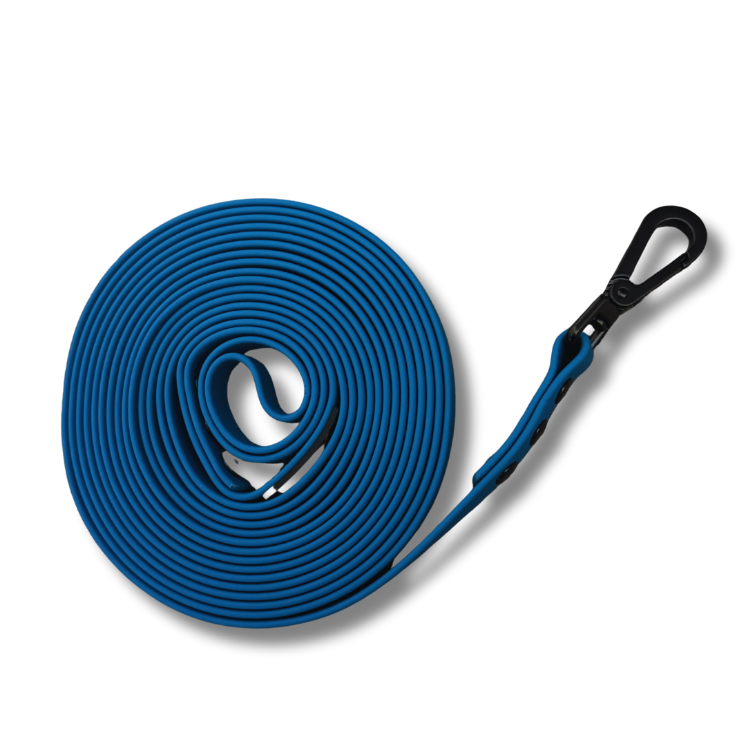 5M Training Lead