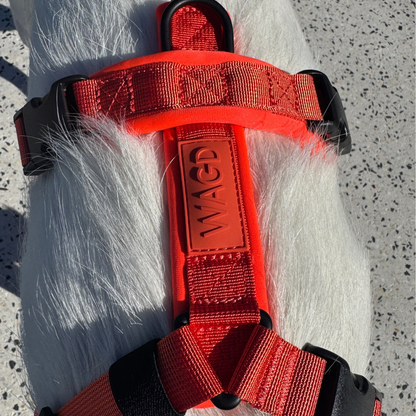 WAGD Dog Harness