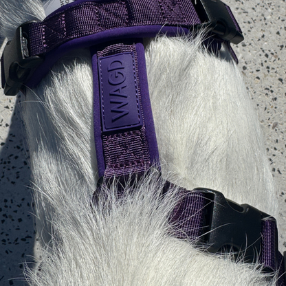 WAGD Dog Harness