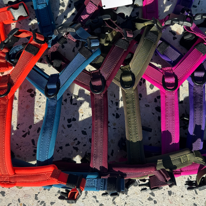 WAGD Dog Harness