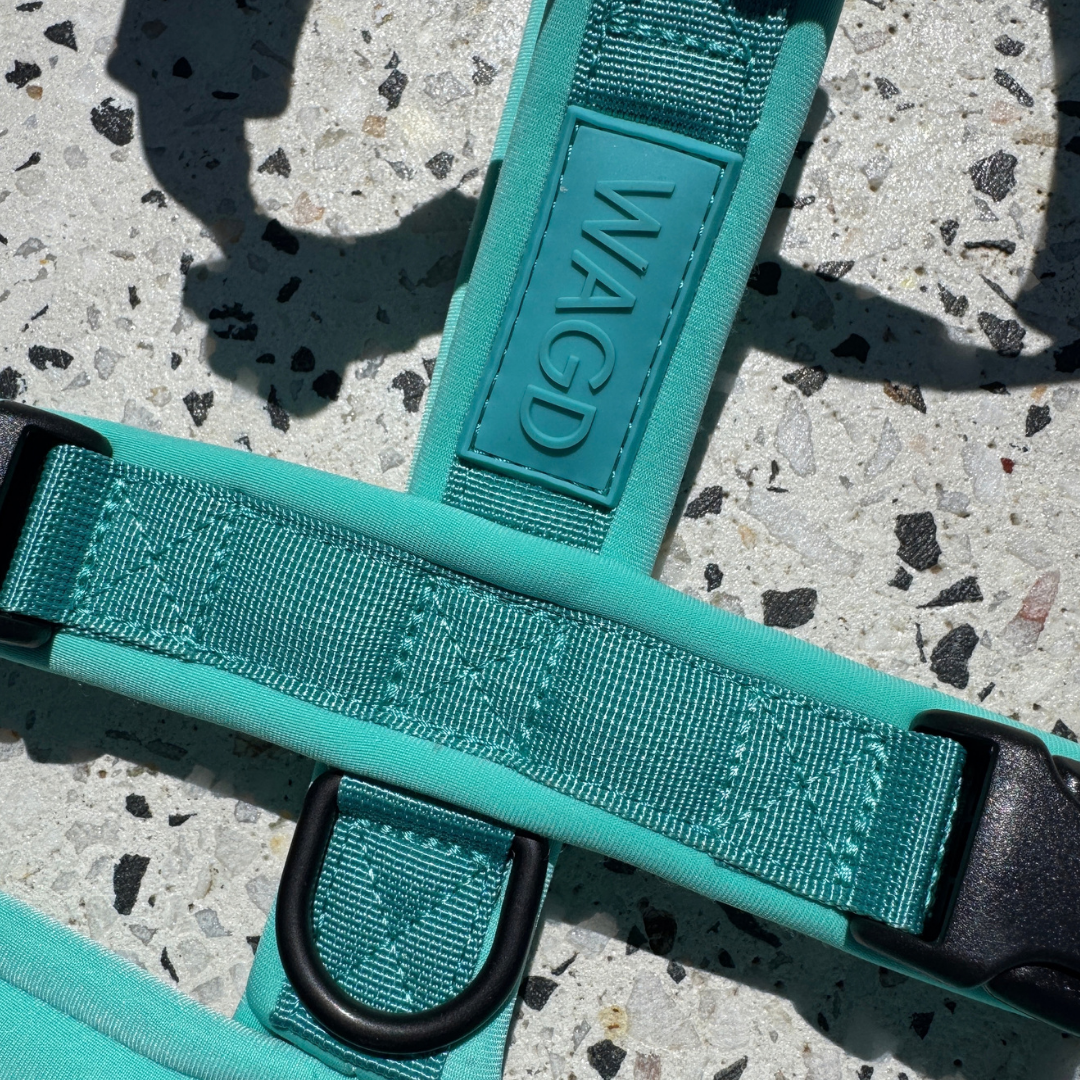 Y-Front Dog Harness with Neoprene Padding