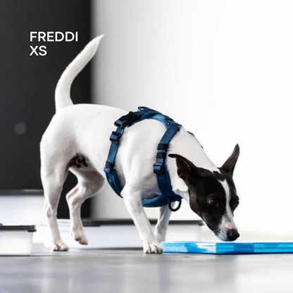 WAGD Dog Harness