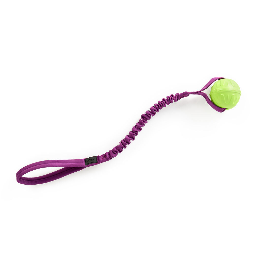 Purple dog tug toy with a green ball on a white background