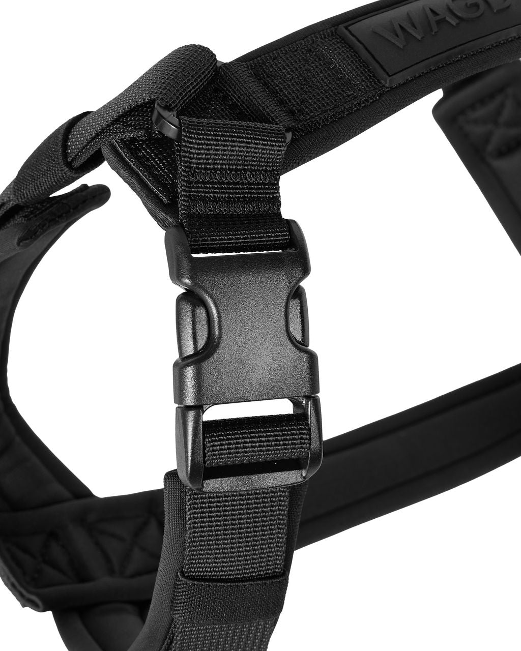Black dog harness with close up of a buckle on a white background