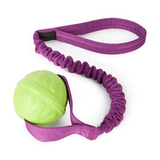 Green ball with a purple bungee cord on a white background