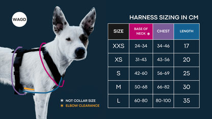WAGD Dog Harness