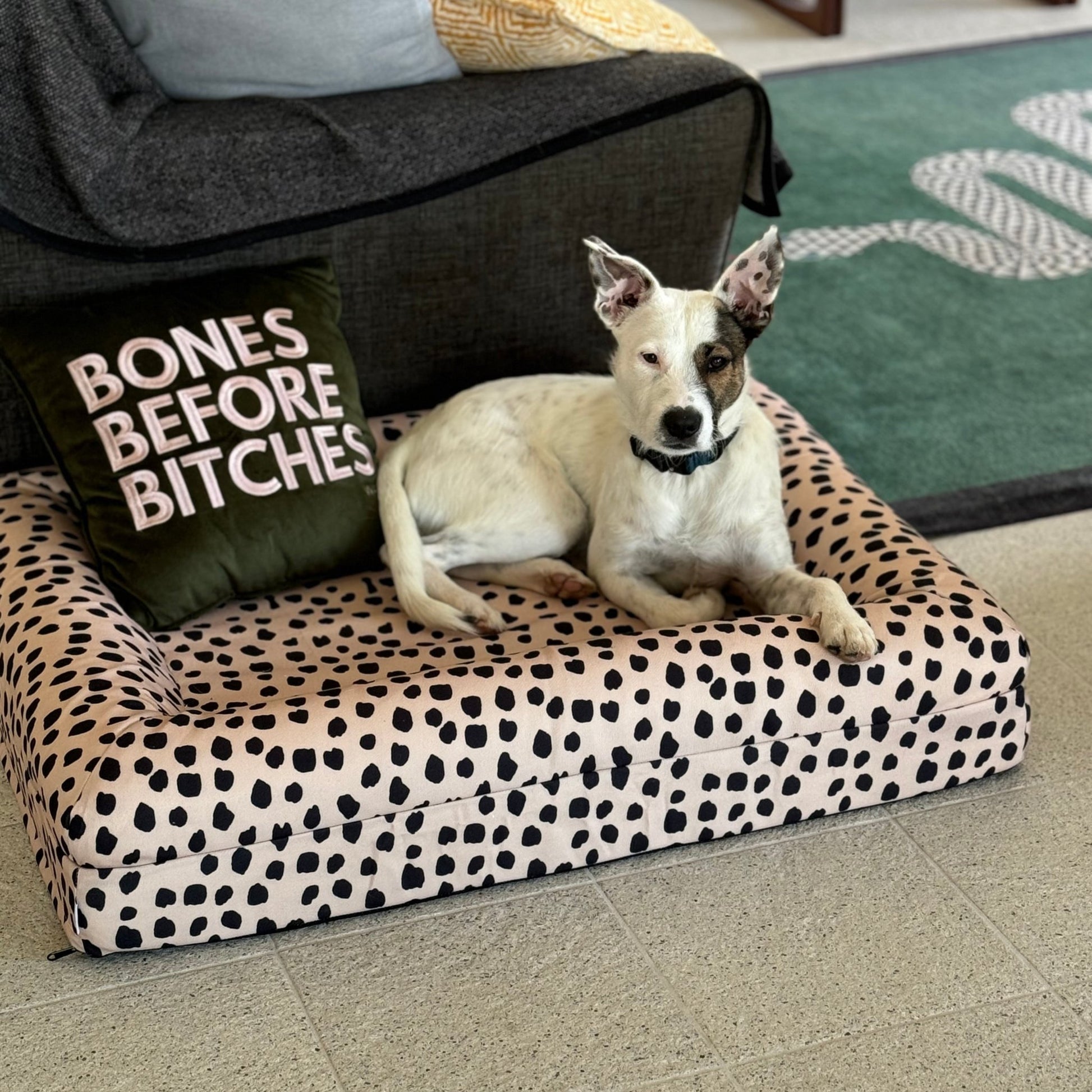 Dog Pillow Cover – WAGD1