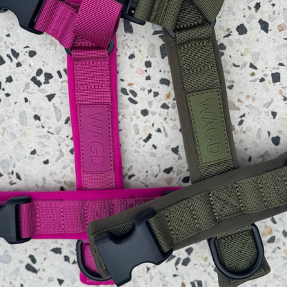 Cloud Comfort Harness