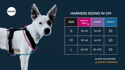 Cloud Comfort Harness NEW COLOURS