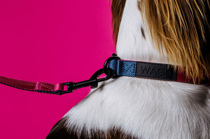 Dogs neck wearing pink and peacock collar with WAGD black rubber logo, with pink lead attached.