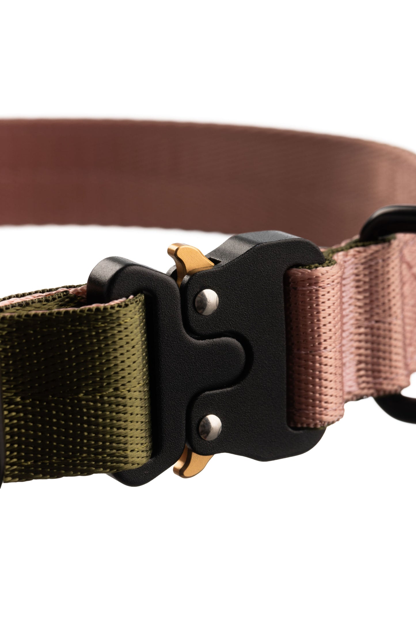 Close up of dog collar clip closed in black metal with gold tabs.