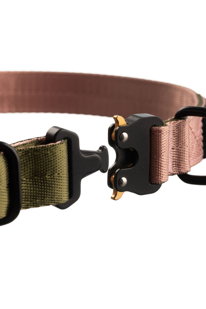 Close up of dog collar clip with clip open. Black clip with gold tabs.