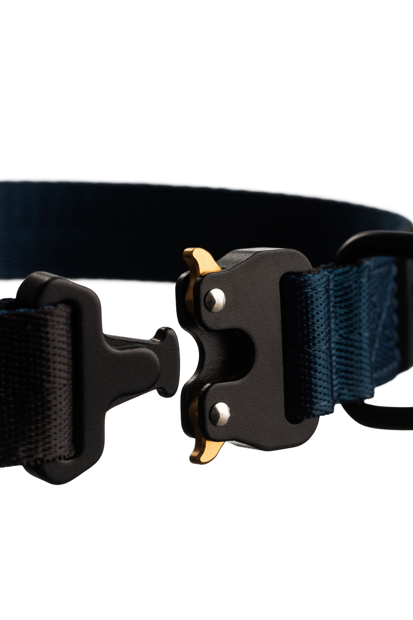 Close up of dog collar clip open. Black clip with gold tabs.