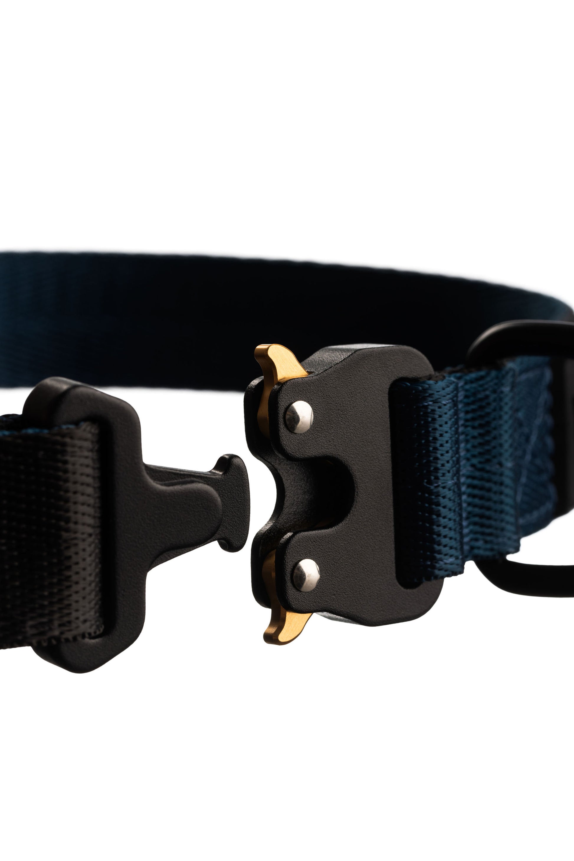 Close up of dog collar clip open. Black clip with gold tabs.