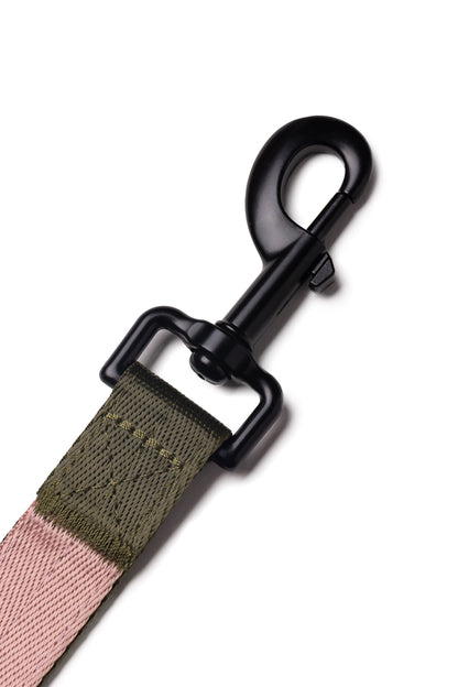 Close up of black metal clip on olive and pink dog lead.