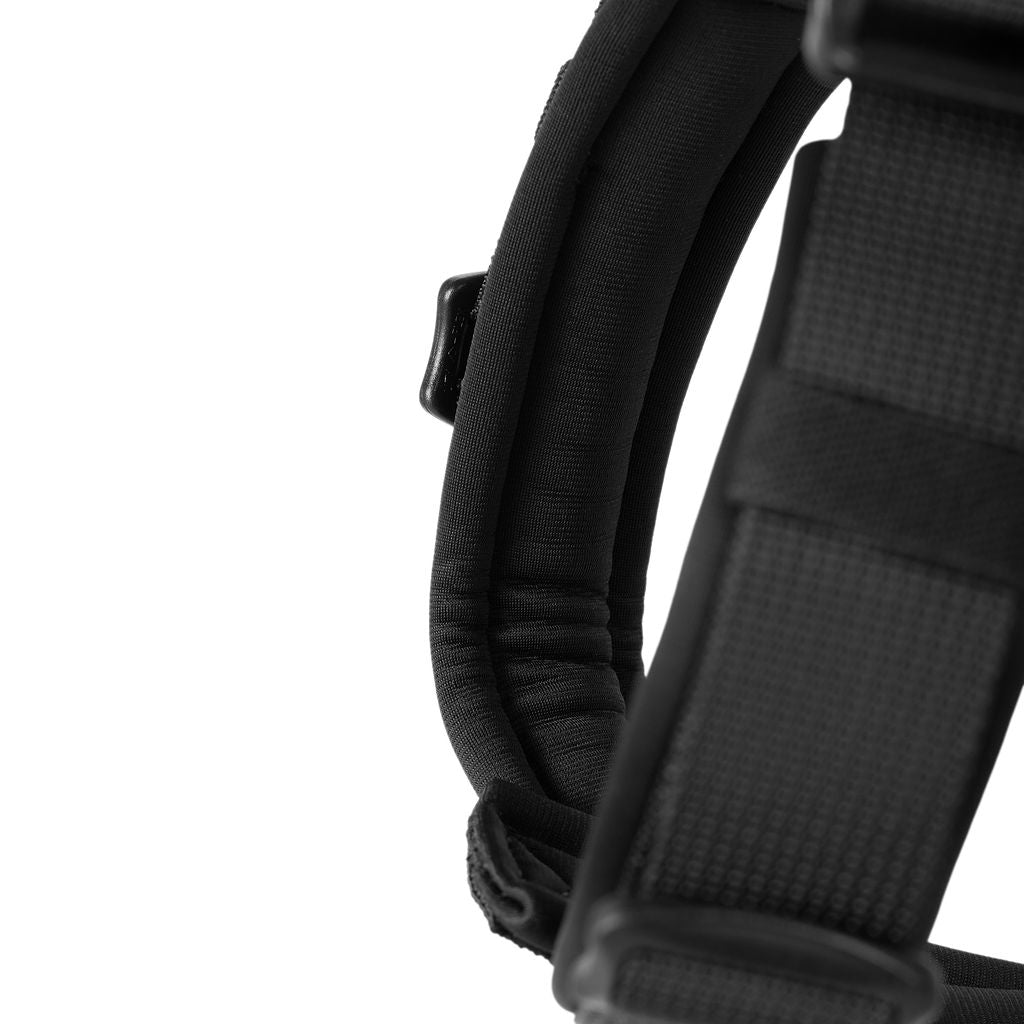 Close-up of a black padded dog harness strap on a white background